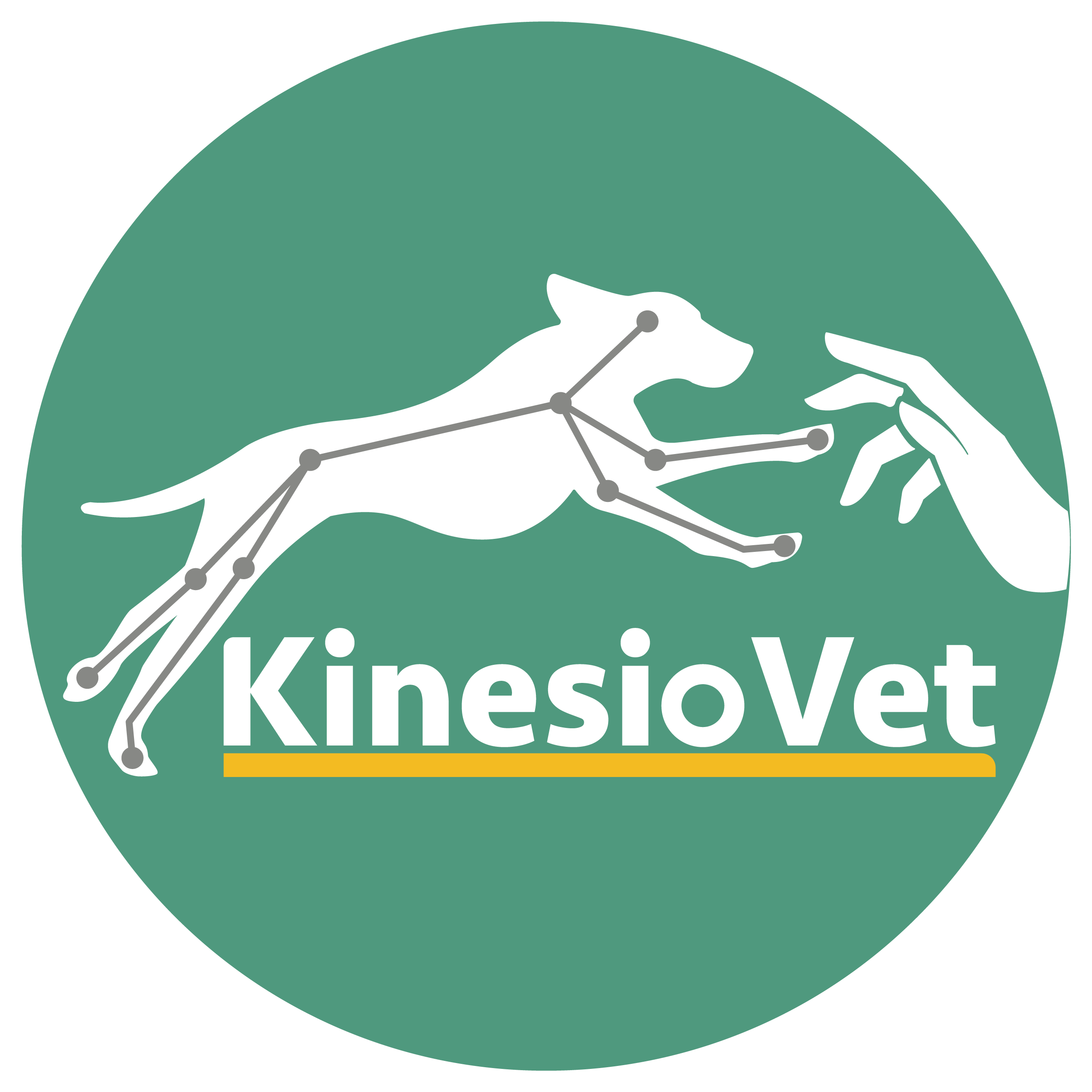 kinesiovet